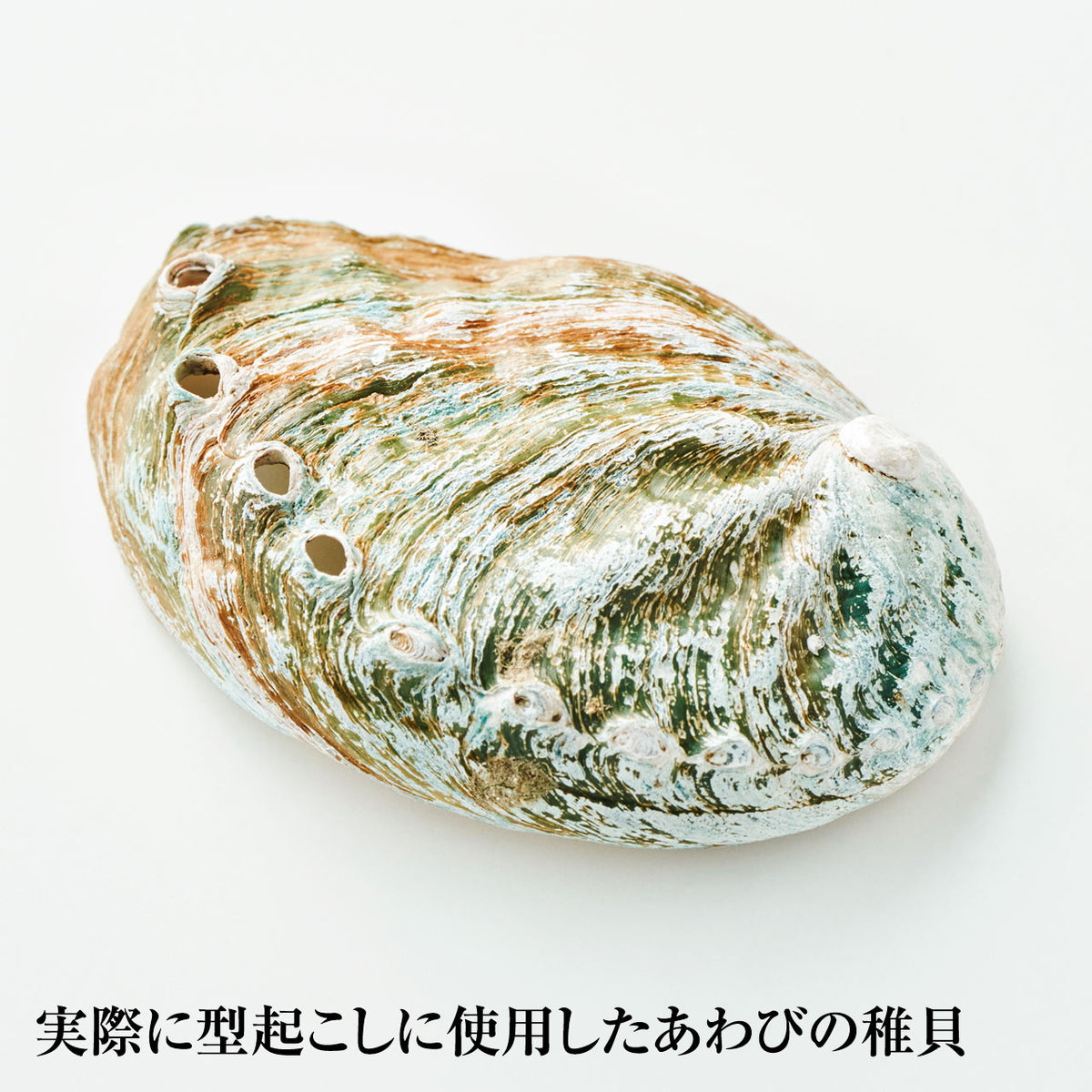 Sanriku Tetsu Awabi – Small